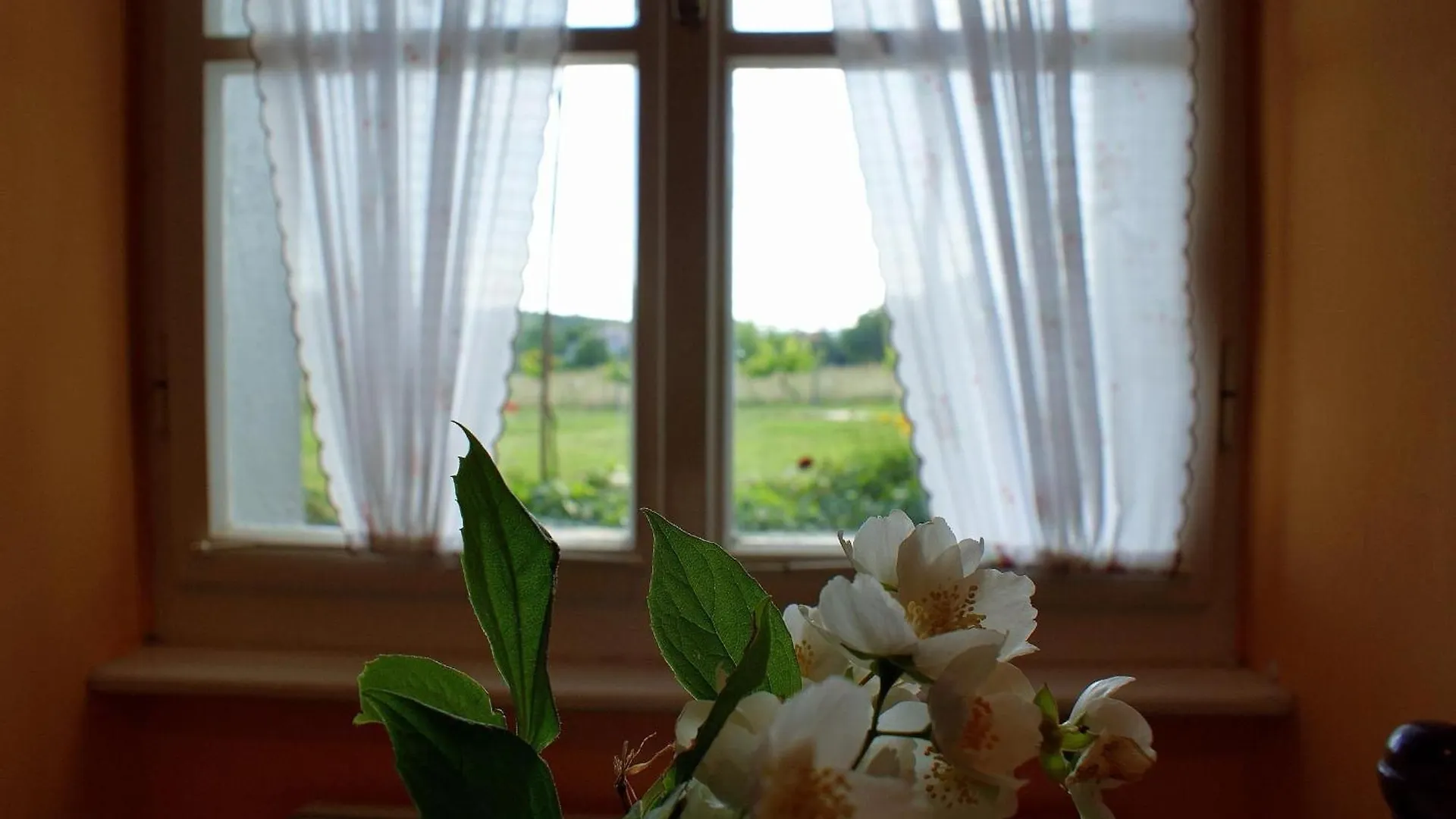 Holiday home Freistehendes Haus Violeta Mit Weitlaeufigen Garten Rasa